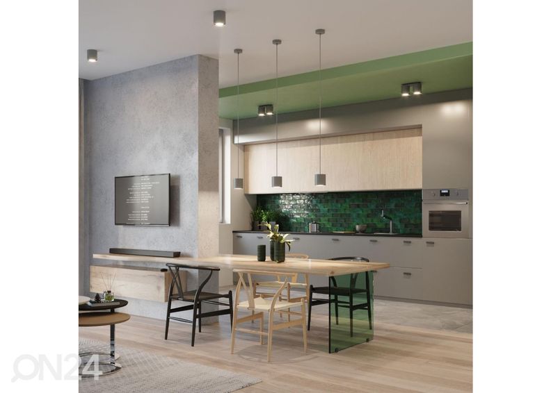 Kattovalaisin Orbis 1, harmaa kuvasuurennos