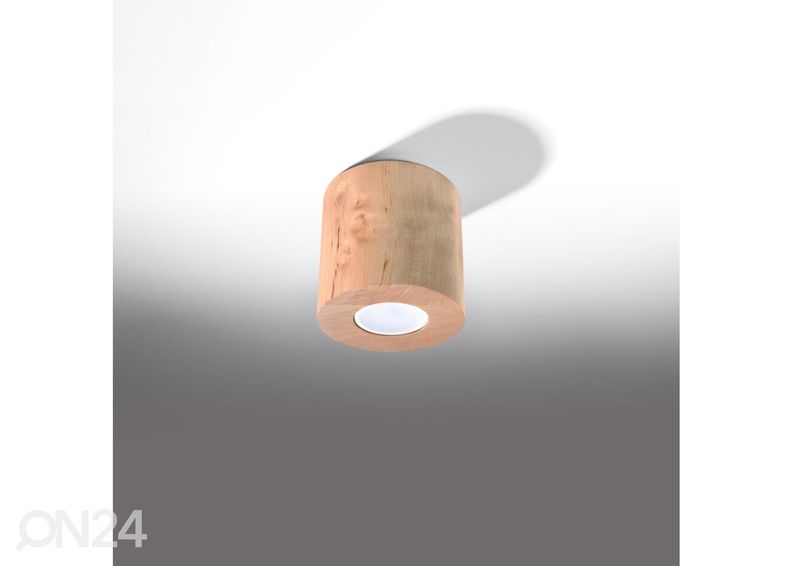 Kattovalaisin Orbis, luonnollinen puu kuvasuurennos