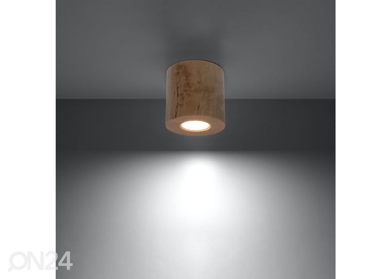 Kattovalaisin Orbis, luonnollinen puu kuvasuurennos