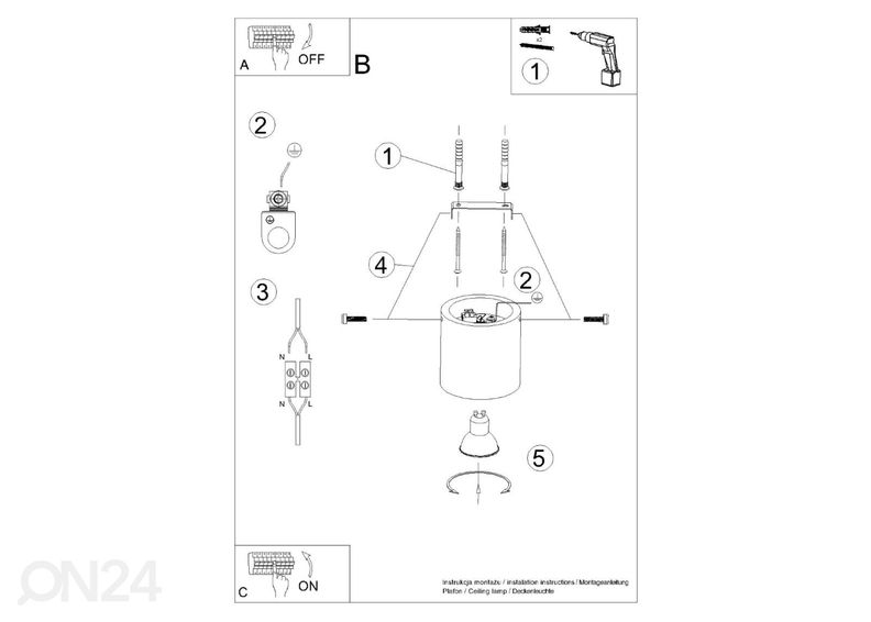 Kattovalaisin Orbis, luonnollinen puu kuvasuurennos