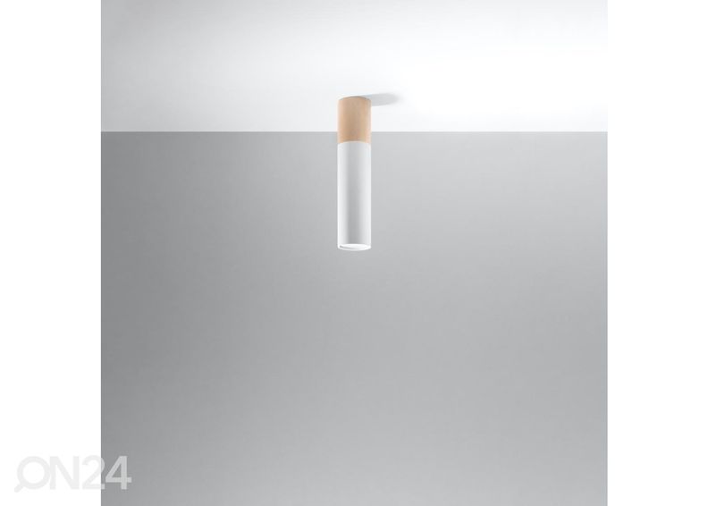 Kattovalaisin Pablo, valkoinen kuvasuurennos