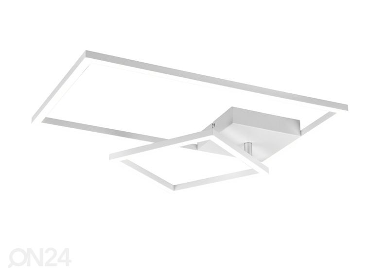 Kattovalaisin Padella kuvasuurennos