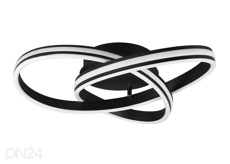 Kattovalaisin Padella kuvasuurennos