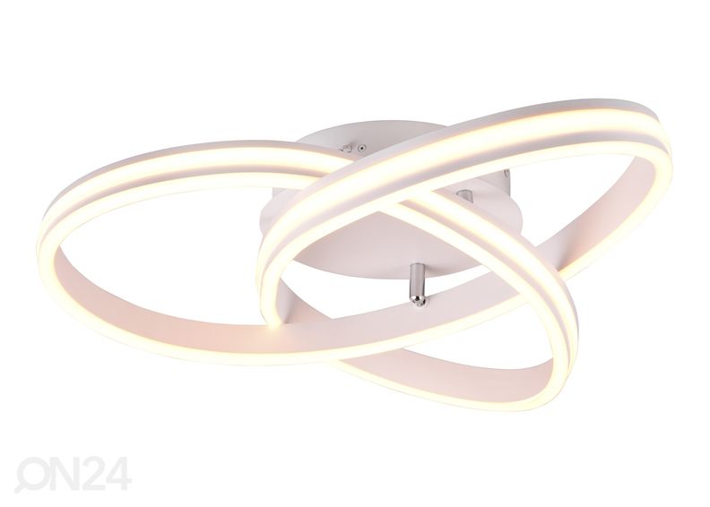 Kattovalaisin Padella kuvasuurennos