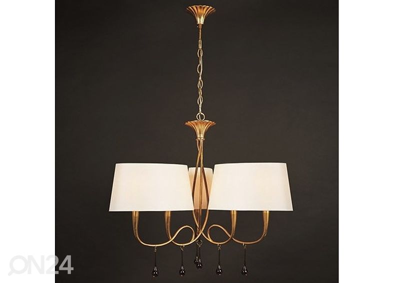 Kattovalaisin Paola kuvasuurennos