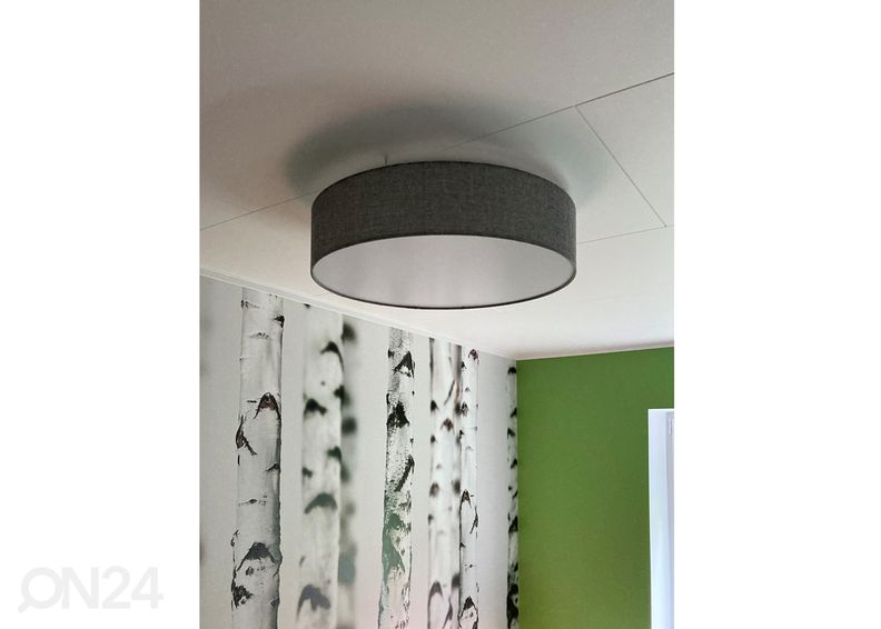 Kattovalaisin Pasteri kuvasuurennos