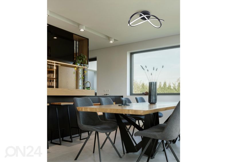 Kattovalaisin Paul kuvasuurennos