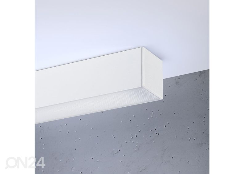 Kattovalaisin Pinne 67, valkoinen kuvasuurennos