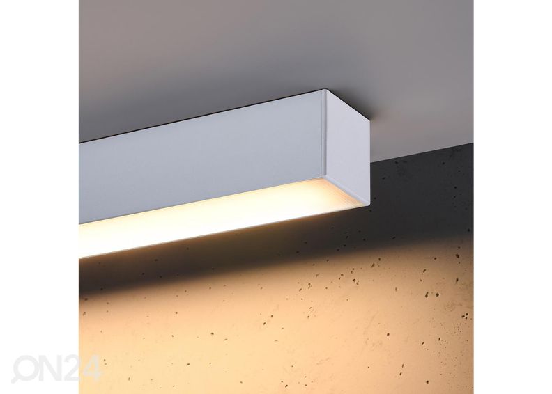 Kattovalaisin Pinne 67, valkoinen kuvasuurennos