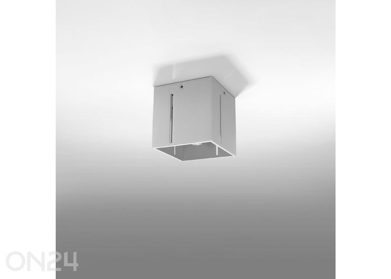 Kattovalaisin Pixar kuvasuurennos