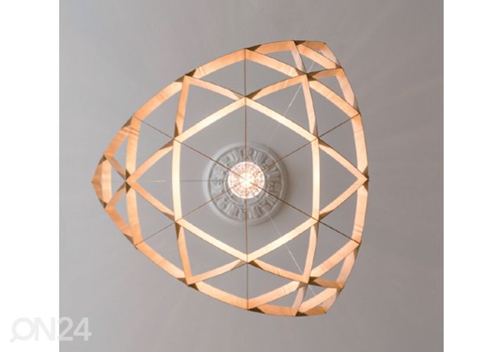 Kattovalaisin Rai S kuvasuurennos