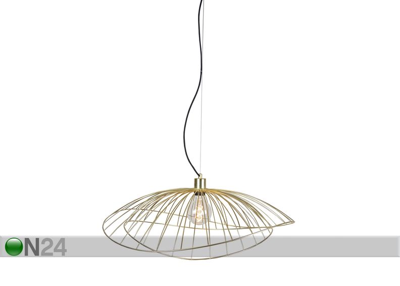 Kattovalaisin Ray kuvasuurennos