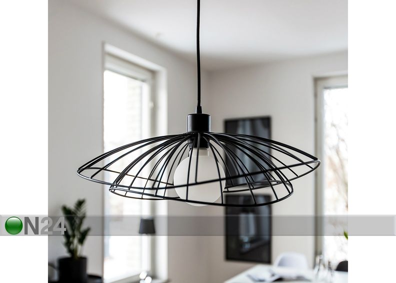 Kattovalaisin Ray kuvasuurennos