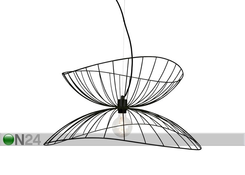 Kattovalaisin Ray kuvasuurennos