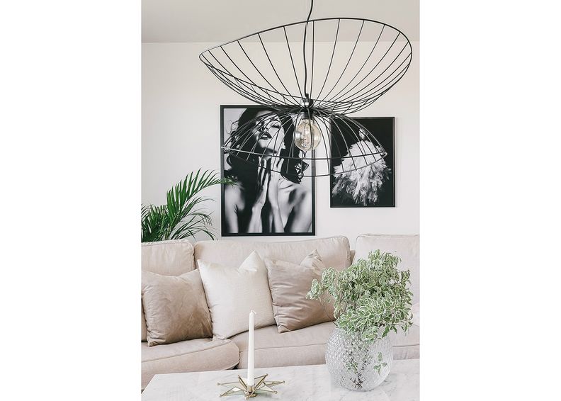 Kattovalaisin Ray kuvasuurennos