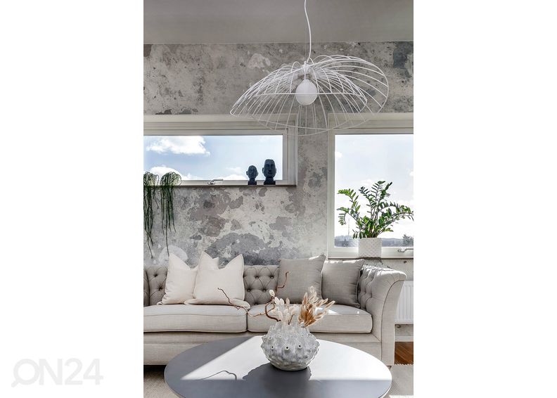 Kattovalaisin Ray kuvasuurennos