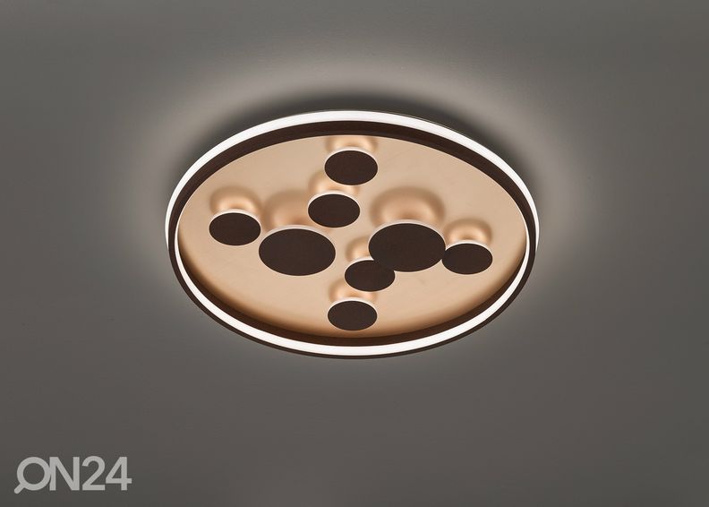 Kattovalaisin Rico LED kuvasuurennos