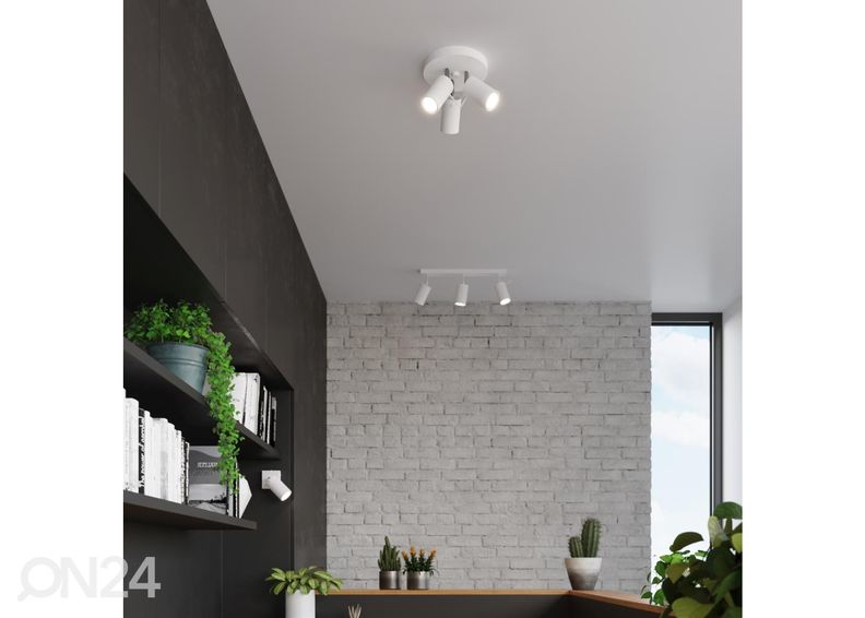 Kattovalaisin Ring 3P, valkoinen kuvasuurennos