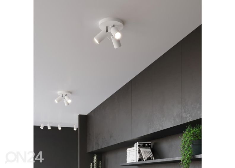 Kattovalaisin Ring 3P, valkoinen kuvasuurennos