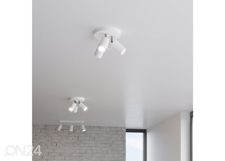 Kattovalaisin Ring 3P, valkoinen kuvasuurennos