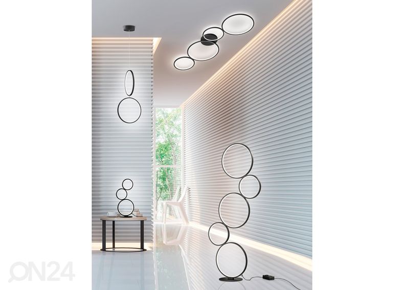 Kattovalaisin Rondo kuvasuurennos