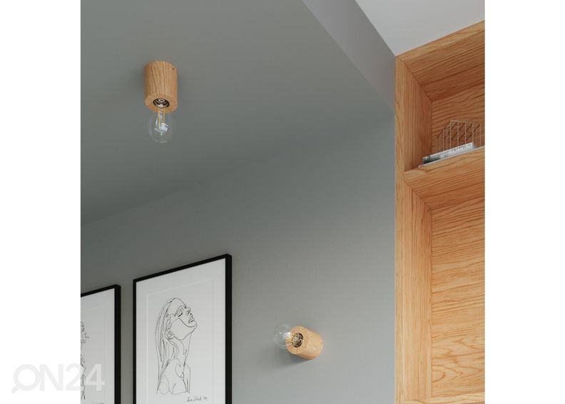 Kattovalaisin Salgado, luonnollinen puu kuvasuurennos