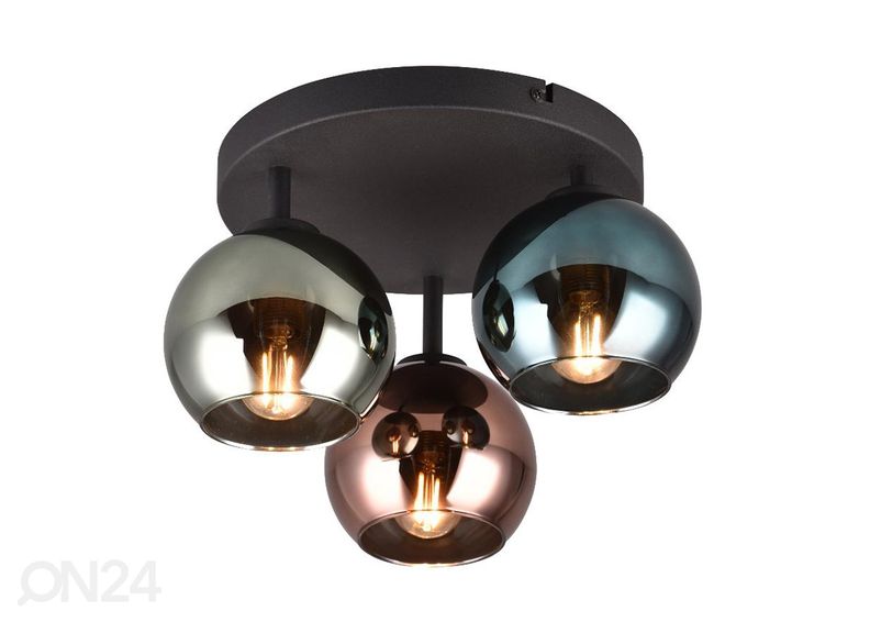 Kattovalaisin Sheldon kuvasuurennos