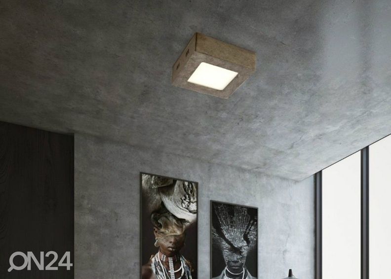 Kattovalaisin Ska 12x12 cm kuvasuurennos