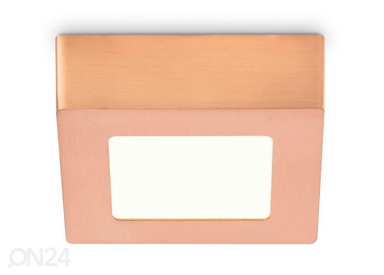 Kattovalaisin Ska 12x12 cm kuvasuurennos