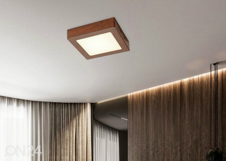 Kattovalaisin Ska 17x17 cm kuvasuurennos