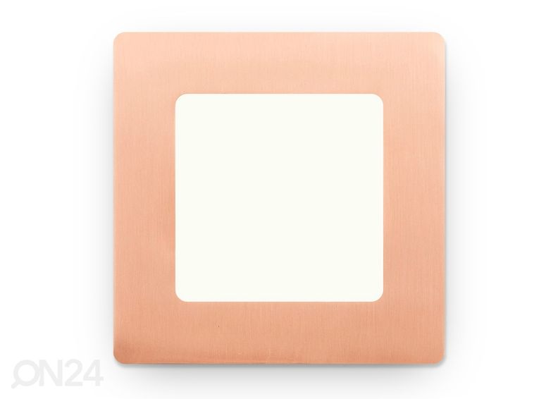 Kattovalaisin Ska 17x17 cm kuvasuurennos