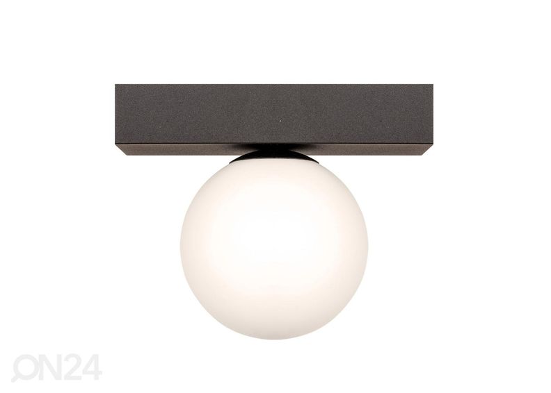 Kattovalaisin Sphere kuvasuurennos