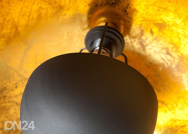 Kattovalaisin Studio kuvasuurennos