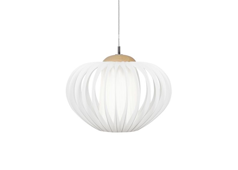 Kattovalaisin SWEA XL kuvasuurennos