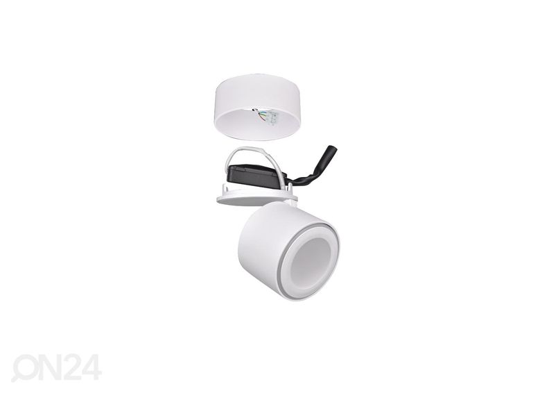 Kattovalaisin Taurus kuvasuurennos