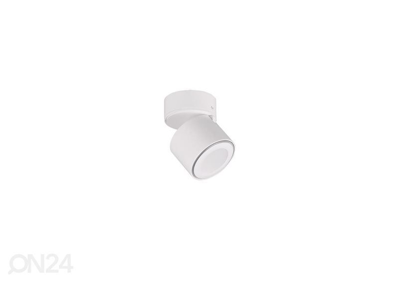 Kattovalaisin Taurus kuvasuurennos