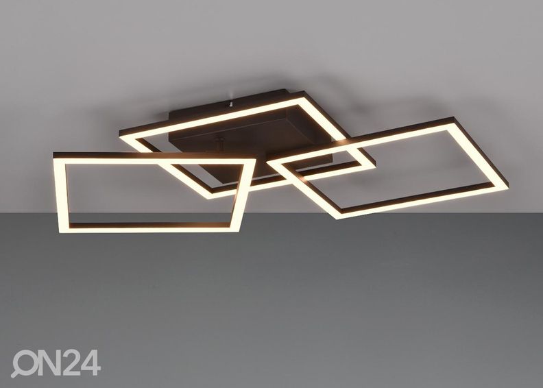 Kattovalaisin Trail kuvasuurennos