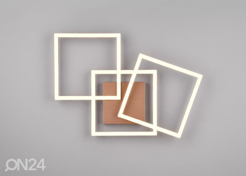 Kattovalaisin Trail kuvasuurennos