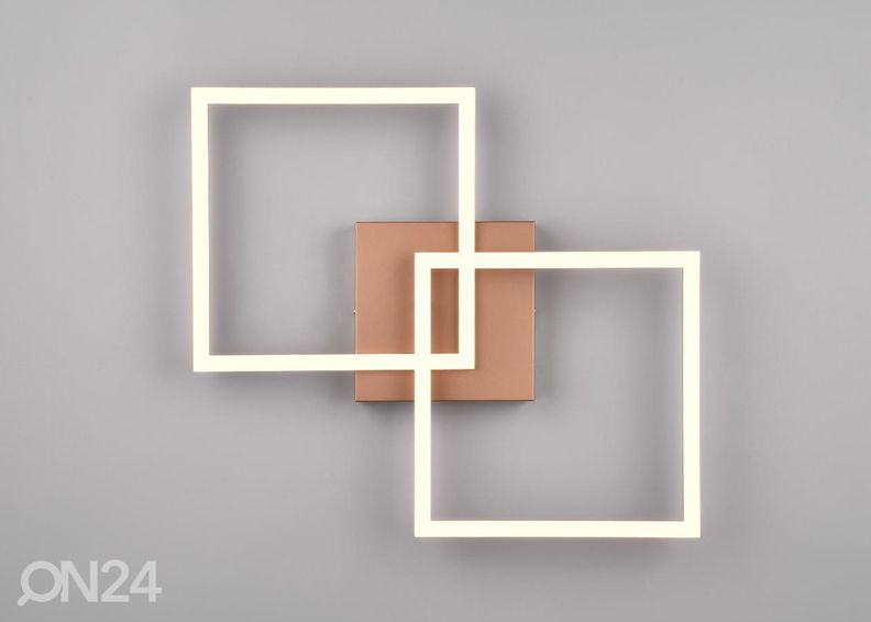 Kattovalaisin Trail kuvasuurennos