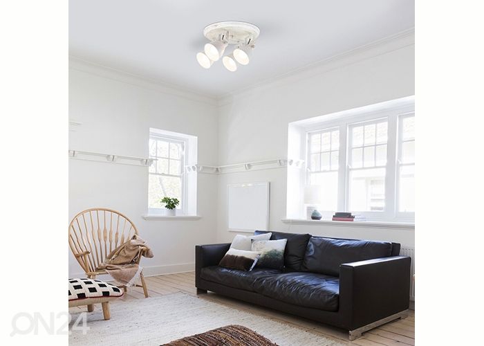 Kattovalaisin Vivienne kuvasuurennos