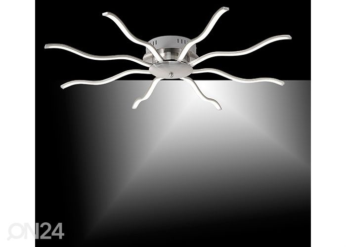 Kattovalaisin Wave kuvasuurennos