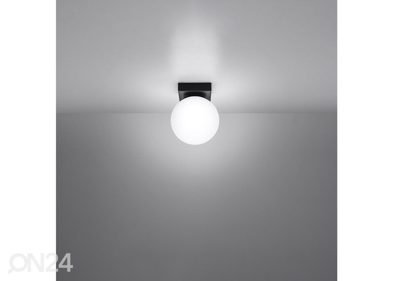 Kattovalaisin Yoli 1 kuvasuurennos