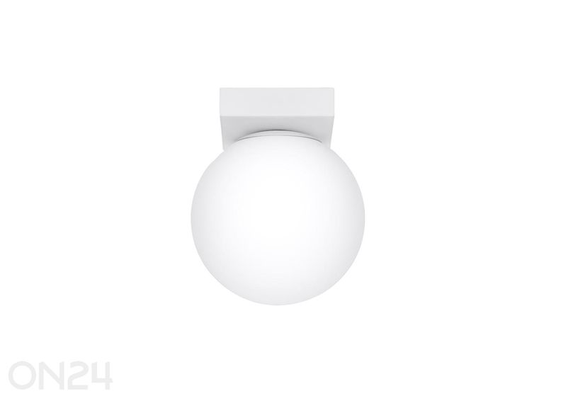 Kattovalaisin Yoli 1 kuvasuurennos