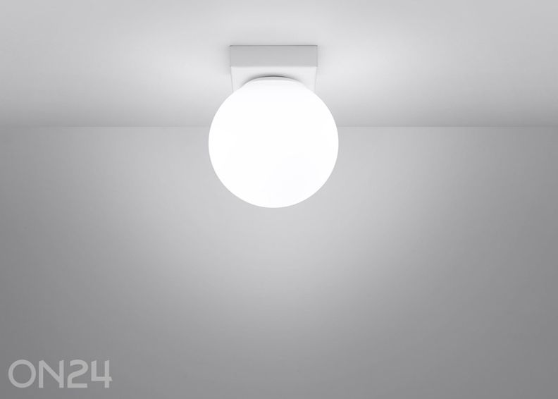 Kattovalaisin Yoli 1 kuvasuurennos