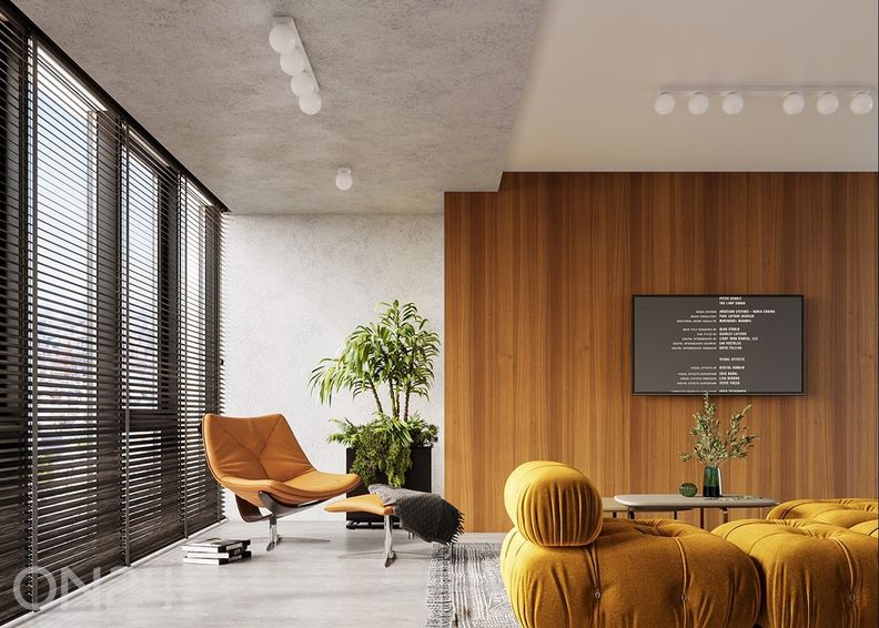 Kattovalaisin Yoli 1 kuvasuurennos