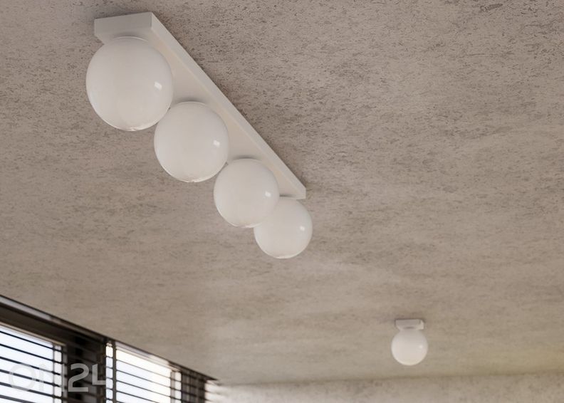 Kattovalaisin Yoli 1 kuvasuurennos