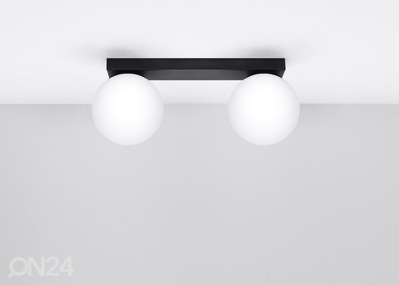 Kattovalaisin Yoli 2 kuvasuurennos