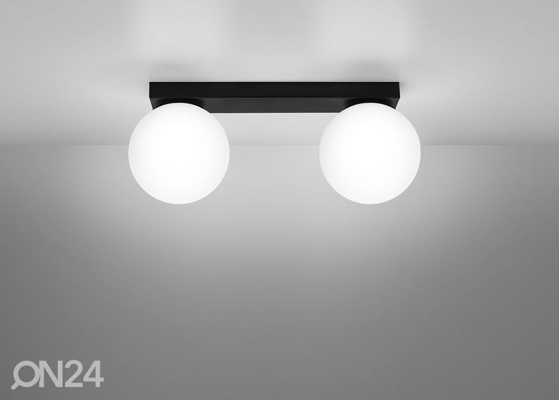 Kattovalaisin Yoli 2 kuvasuurennos