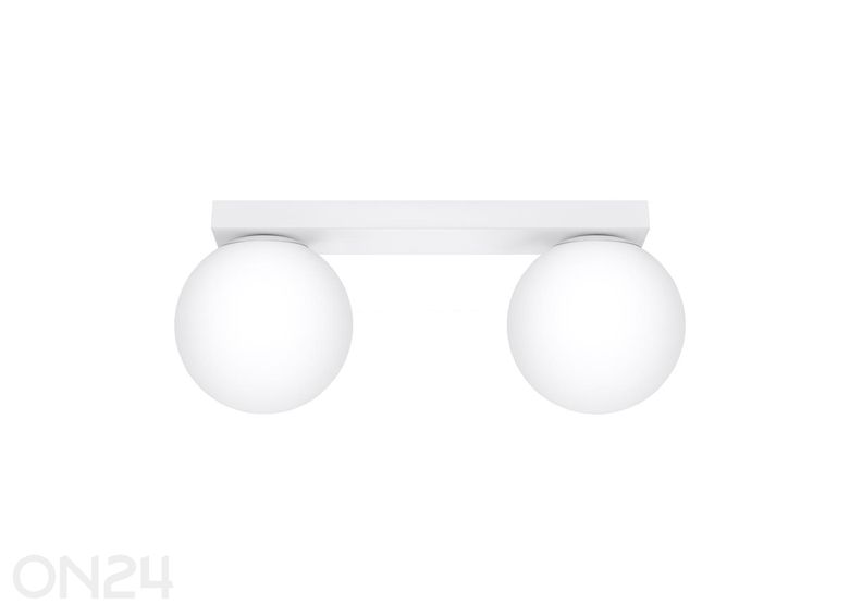 Kattovalaisin Yoli 2 kuvasuurennos