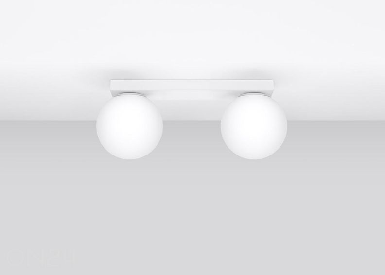 Kattovalaisin Yoli 2 kuvasuurennos